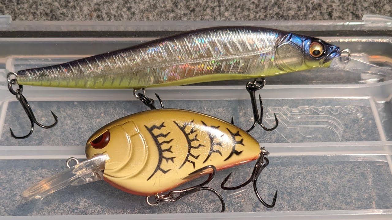 Spring Bass Fishing (Finally) Heats Up! | Jerkbaits + Cranks!!