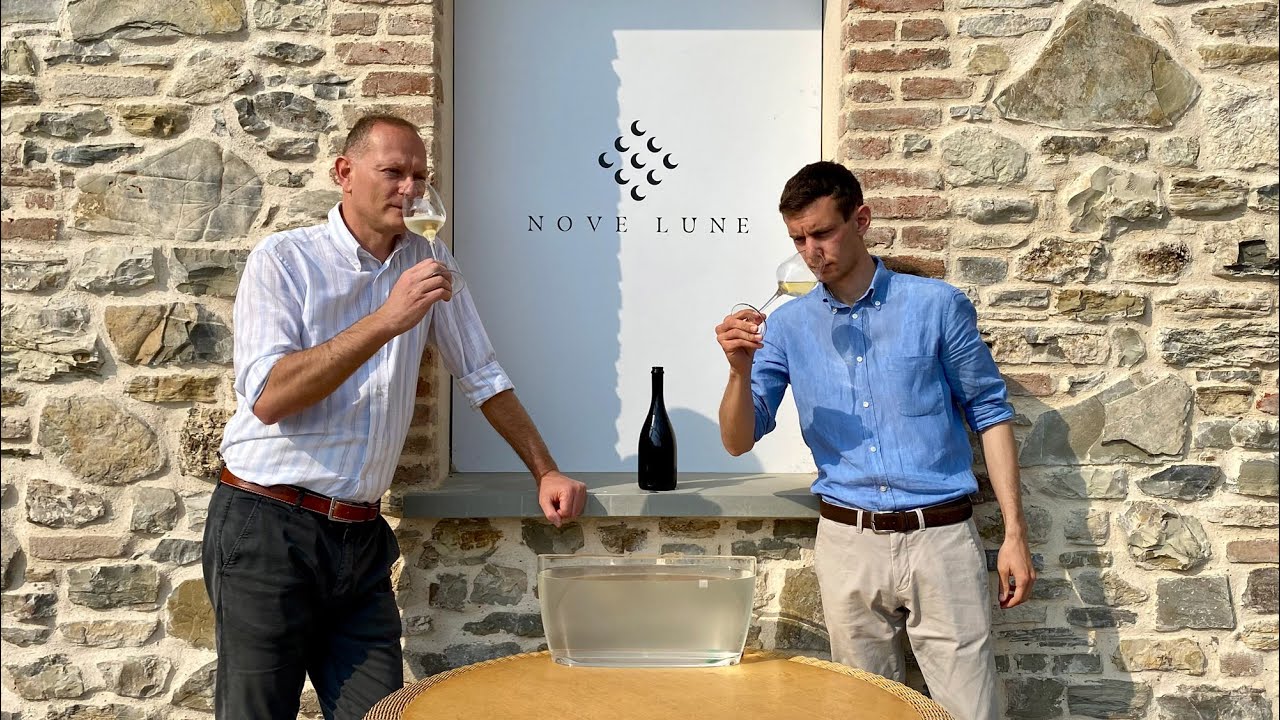 Work in progress: Costa Jels degustazione aprile 2021