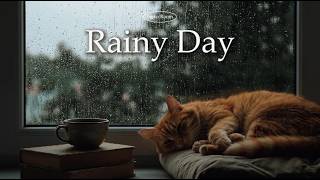 Rainy Cafe Lofi – Relax & Focus ☔ | 비 오는 날, 고양이와 함께하는 조용한 시간