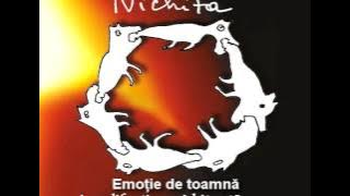 Nicu Alifantis   Nichita   Emotie de toamna
