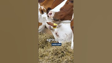 How Bitcoin Mining Gives Value to Wasted Energy #bitcoin #energy #shorts