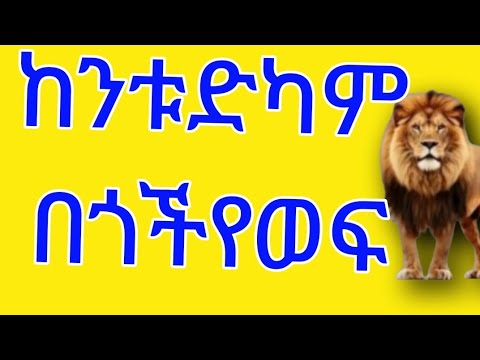 ከንቱ ድካም በጎችየ ወፍ ዘራሽ ሆነ ነገሩ