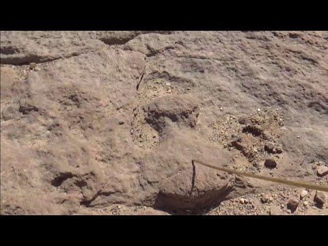 تحليل اشارة الدلة الحفر والنفر اشارة ثمينة جدا