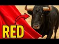 Are Bulls Actually Enraged by the Color Red?