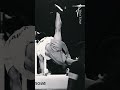 Almost impossible x japan gymnast on pommel