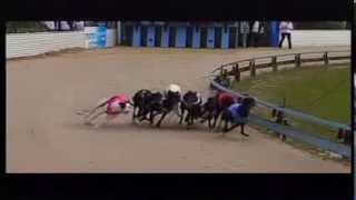 NOWRA-25112013-RACE-03