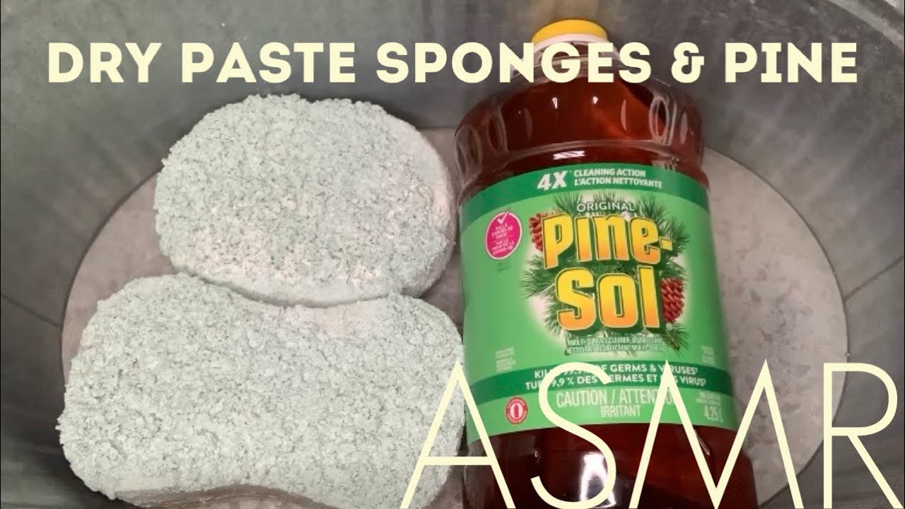Foamy Dried Paste Sponges & Pine
