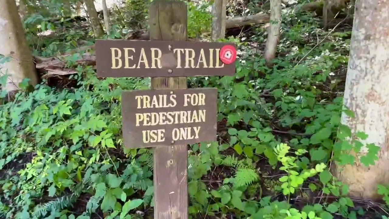 Finger Lakes hiking supercut 2025 | Watkins Glen, Taughannock, Buttermilk, Fillmore, Treman, Cornell