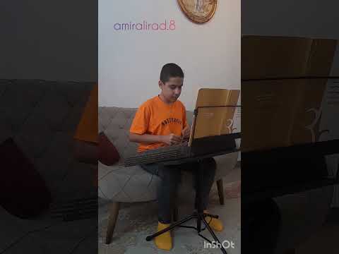 اهنگ زیبای ز من نگارم استاد شجریان