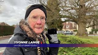 Yvelines | L’arbre de l’année 2021 est yvelinois