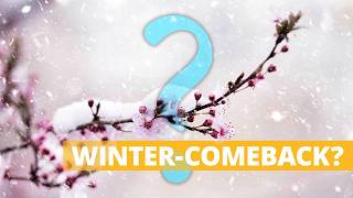 Wetter heute: Bringt Polarluft Winter-Comeback zu dir?