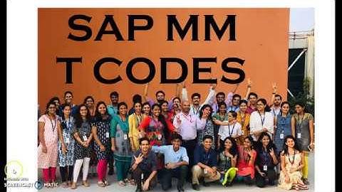 SAP MM T Codes: Master Your Interview Preparation and Excel in SAP