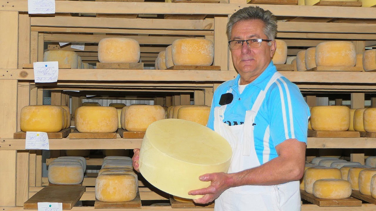 A bre Bosanac kakav ti je ovo sir