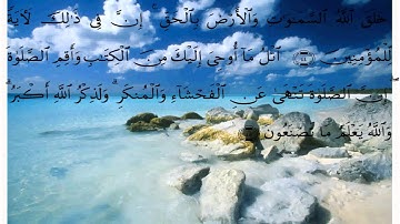 سورة العنكبوت * بصوت علي الحذيفي