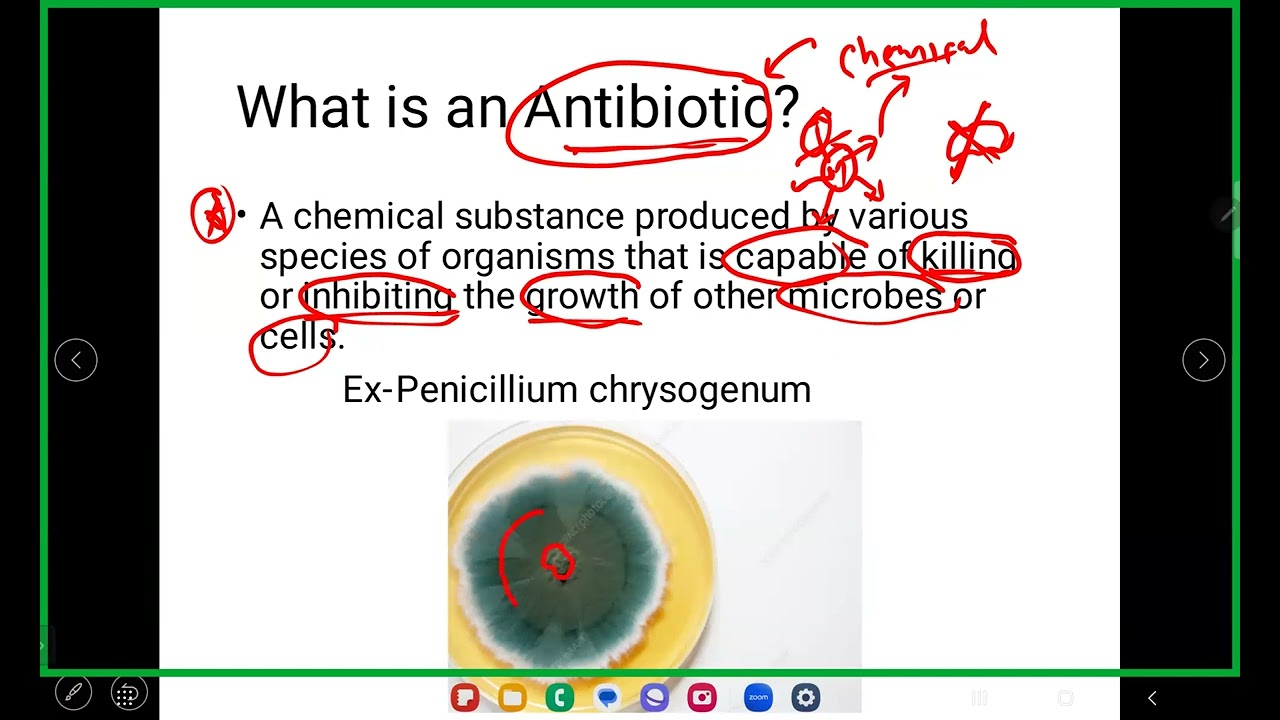 Introduction to Antibiotics
