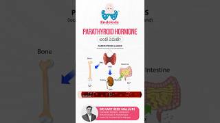 Parathyroid Hormone & Bone Health Explained by Dr.Kartheek Nalluri | Endokids