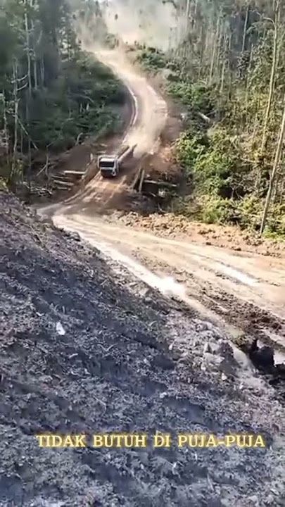 pantawan truck logging kalimantan###