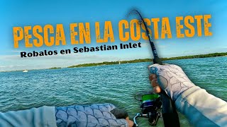 Pesca en la Costa Este de la Florida, Robalos a Spinning