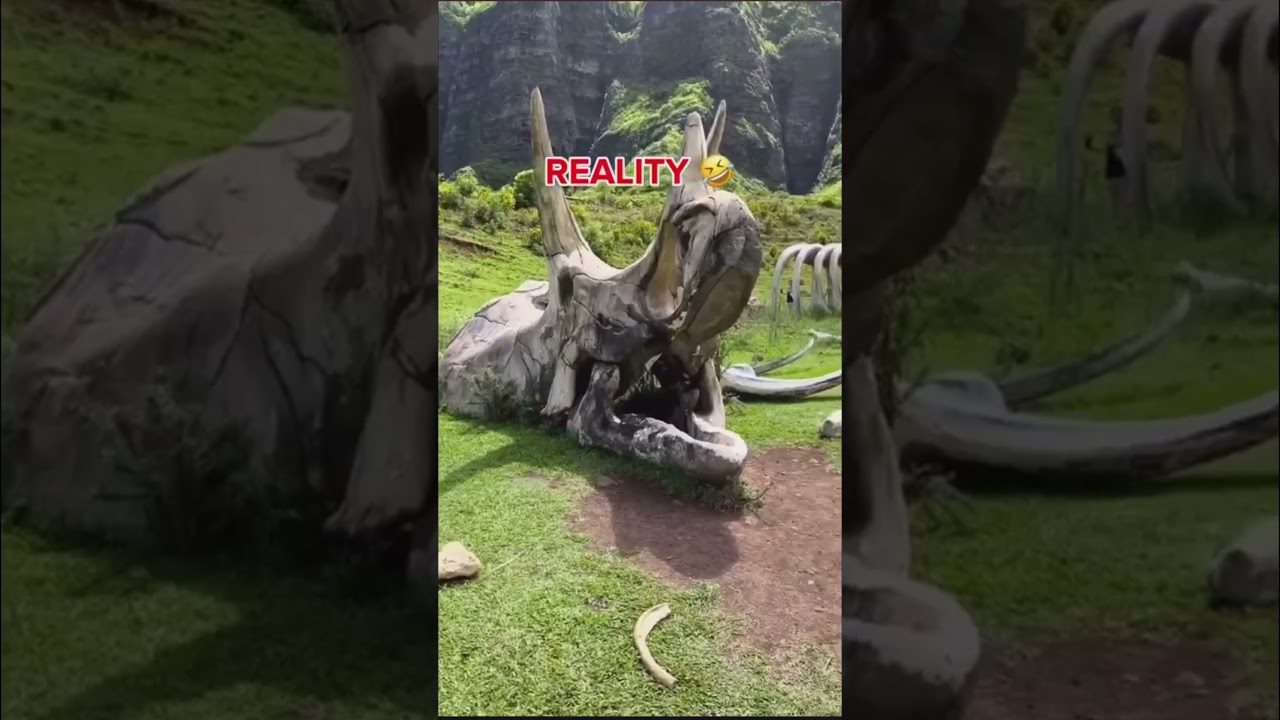 Social Media VS Reality Travel 