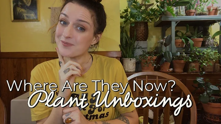Houseplant Unboxing Updates Ep. 01 | #Vlogmas Ep.6
