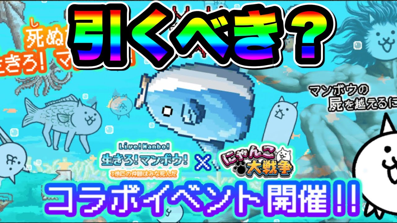 にゃんこ大戦争 生きろ マンボウ コラボガチャ 復刻 引くべきか引かないべきか徹底解説 生きろマンボウコラボ にゃんこ大戦争 攻略動画まとめ