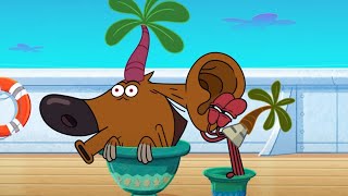 (NEW) ZIG AND SHARKO 4 | The new plan (SEASON 4) New episodes | Cartoon Collection for kids