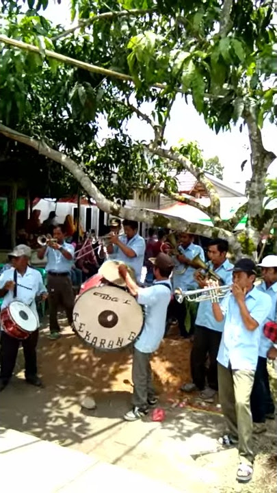 alat musik tanjidor yang selalu dimainkan saat pesta pernikahan adat melayu sambas