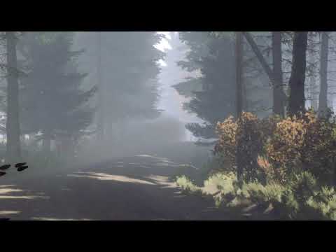 DiRT Rally 2.0: Lancia Delta S4 World Record at Finland