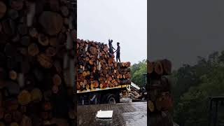 അവിടെ മഴയുണ്ടോ 😄😄#kerala #automobile #loading #offroad #farming #jcb #funny #forestfarming #tatase