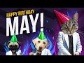 Happy Birthday May Its Time To Dance 