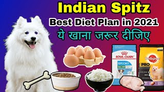 Best diet plan for Indian Spitz | Diet chart in hindi