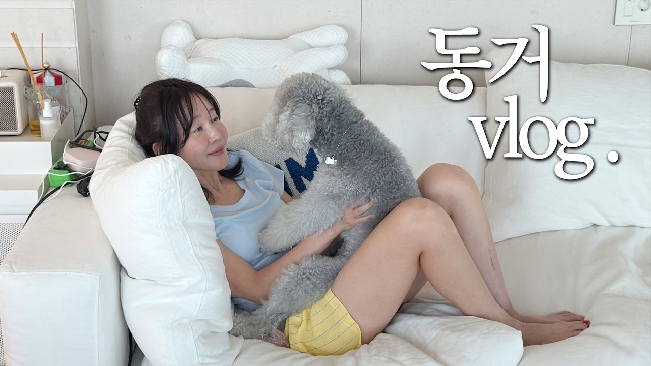 이사 후 집을 잃은 사람의 얹혀살기 브이로그( ;  ᷄ᾥ ᷅ ; ) 엄생충 1화