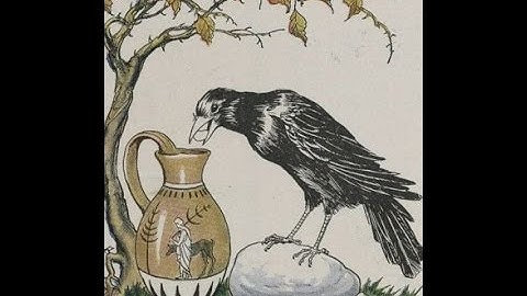 6 Ways Crows are Smarter Than You Think (Part 2)