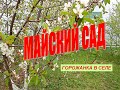 Майский сад.