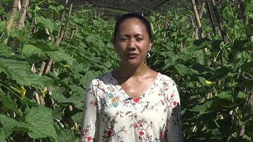 EU-SPC IKSA Project - SOIL PROPERTIES & SOIL FUNCTIONS