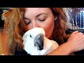 Parrot Left to Die Finally has a Name