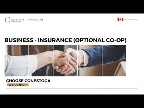 Business - Insurance (Optional Co-op)
