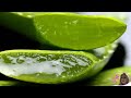 Aloa vera-kako se koristi za lice (recept) /Semberska kuhinja - YouTube