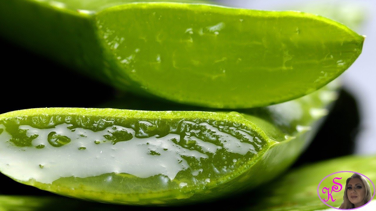 Aloa verakako se koristi za lice (recept) /Semberska kuhinja YouTube