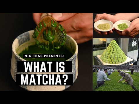 What is Matcha? History of Matcha, How it is Made and How it is Prepared in Japan