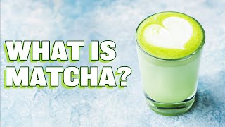 What is Matcha? History of Matcha and How to Make Matcha