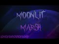 DAMAGE CONTROL : Moonlit Marsh - [ORIGINAL]