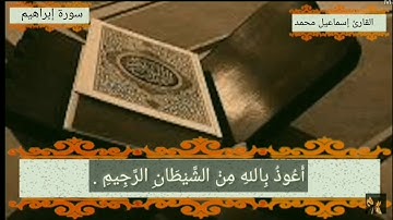 #جديد | تلاوة بنبرة حزينة و مؤثرة