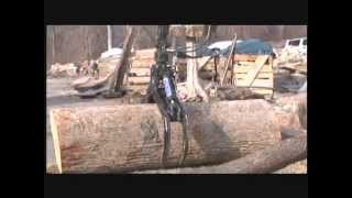 Dains Lumber Company Green Sawmill and Millwork Division Services