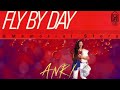 ANRI Fly-By-Day Single