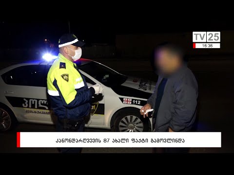 კანონდარღვევის 87 ახალი ფაქტი