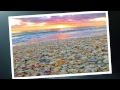 Sanibel Wishes