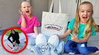 Game Master Leaves Mystery Eggs and Top Secret Message!! Hatchimals HatchiBabies! screenshot 4