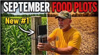 My New #1 Game Camera and Deer Foodl Plot Tips for September