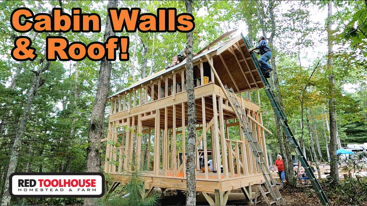 Offgrid Cabin Build: Part 4 - Framing the Walls and Roof - YouTube